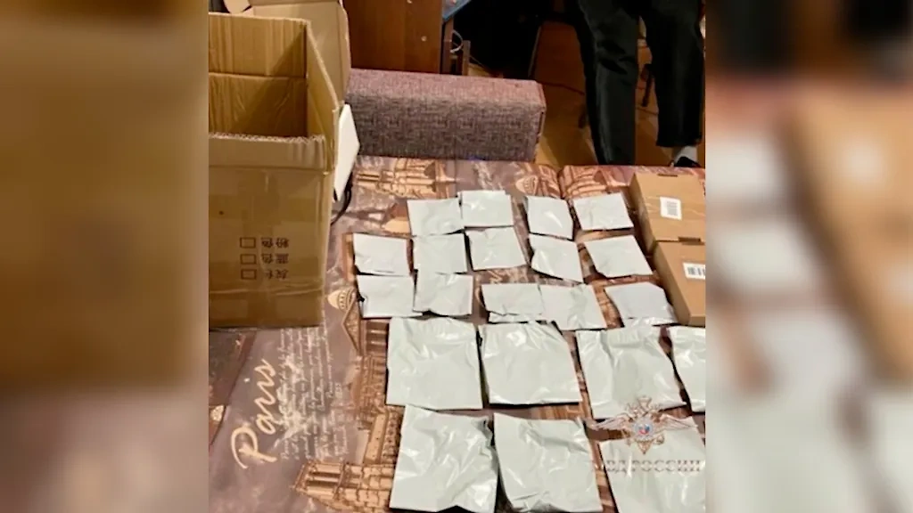 Обыски в квартире жительницы Петербурга, которая пыталась продать наркотики через Ozon. Обложка © МВД