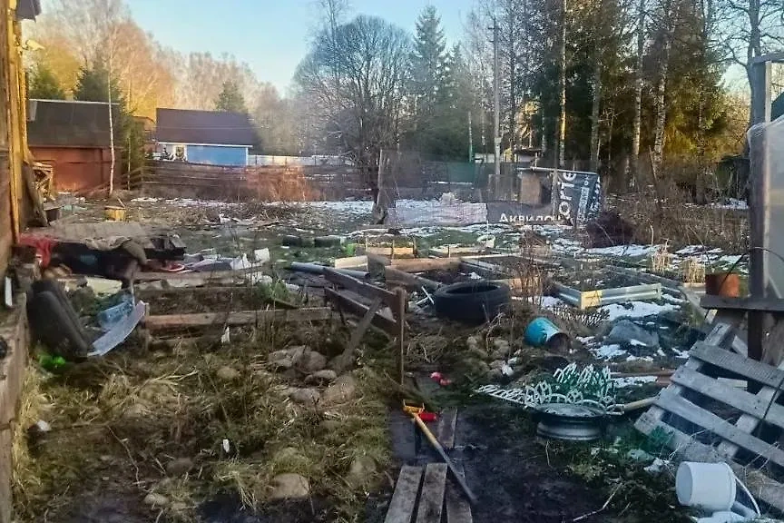 В Кировском районе Ленинградской области женщина подозревается в истязании малолетних детей. Обложка © Telegram / Следком Ленинградской области