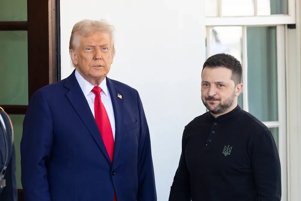Дональд Трамп и Владимир Зеленский. Обложка © Shutterstock / FOTODOM / Joshua Sukoff