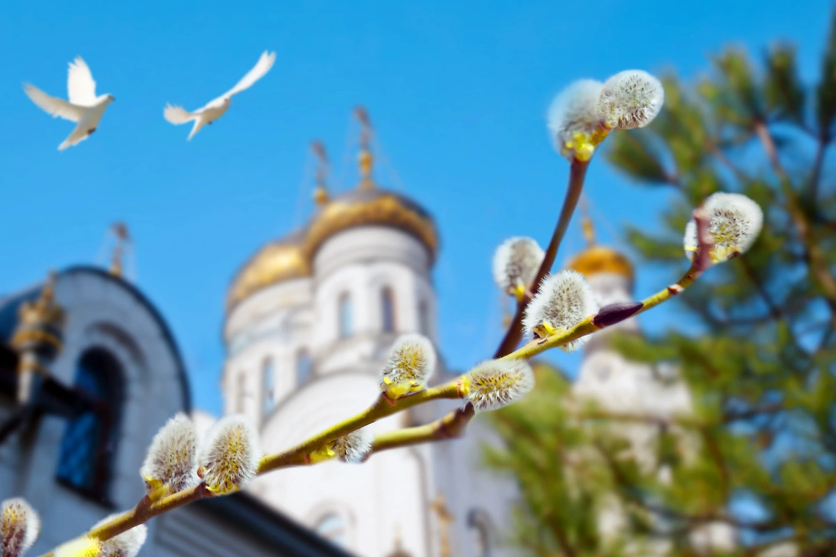 13 апреля православные празднуют Вербное воскресенье. Обложка © Shutterstock / FOTODOM / Tatiana Belova