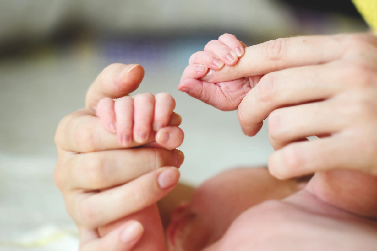 Обложка © Shutterstock / FOTODOM / Elena_Frolova