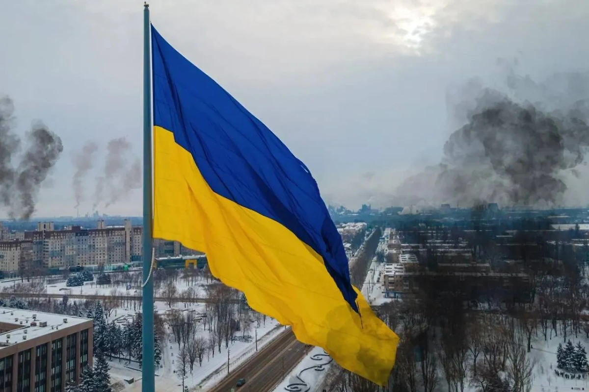 Обложка © Shutterstock / FOTODOM / Alexey Fedorenko