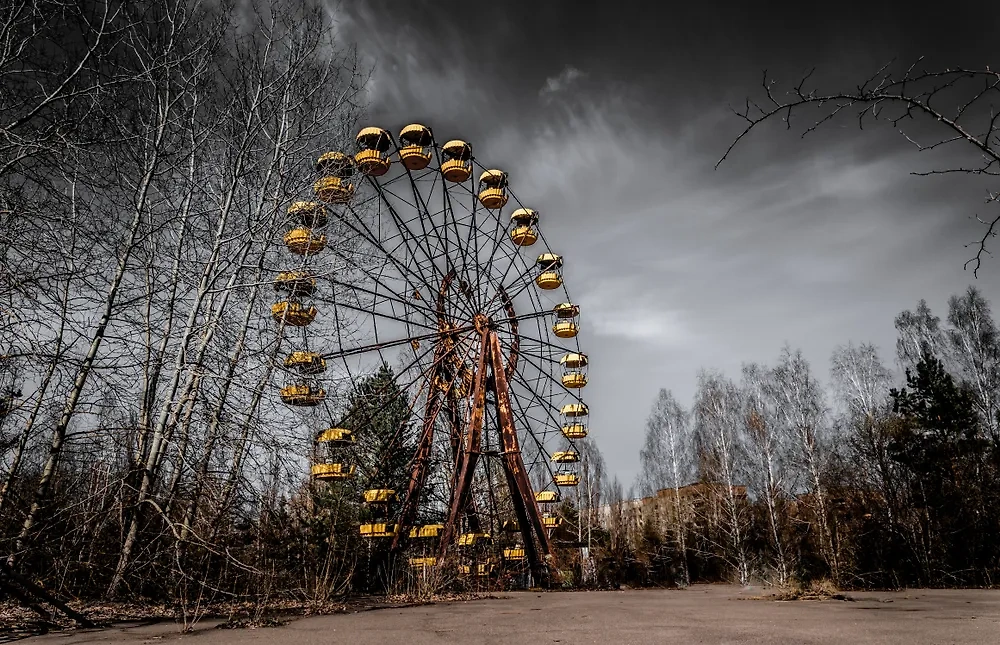 Обложка © Shutterstock /FOTODOM / Konoplytska