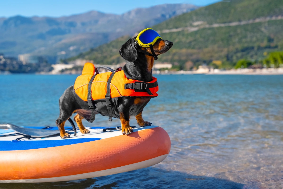 Обложка © Shutterstock / FOTODOM / Masarik