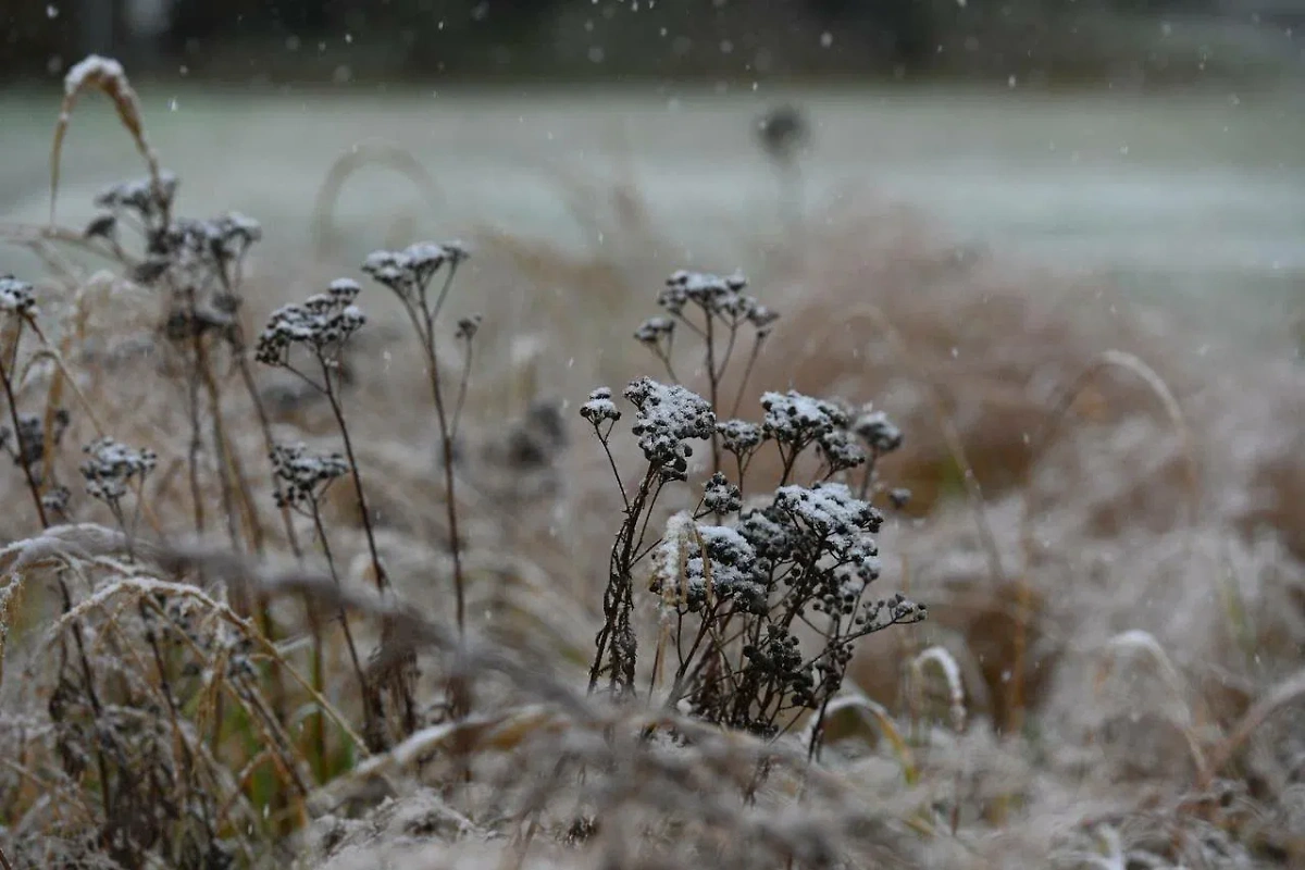 Фото © Life.ru