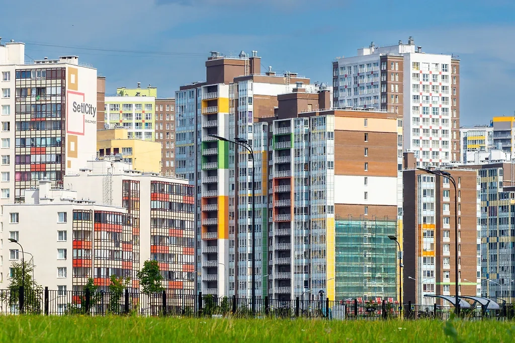 Кудрово. Обложка © ТАСС / Валентин Антонов