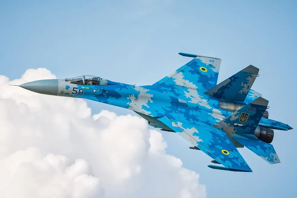 Обложка © Shutterstock /FOTODOM / Dawid Lech