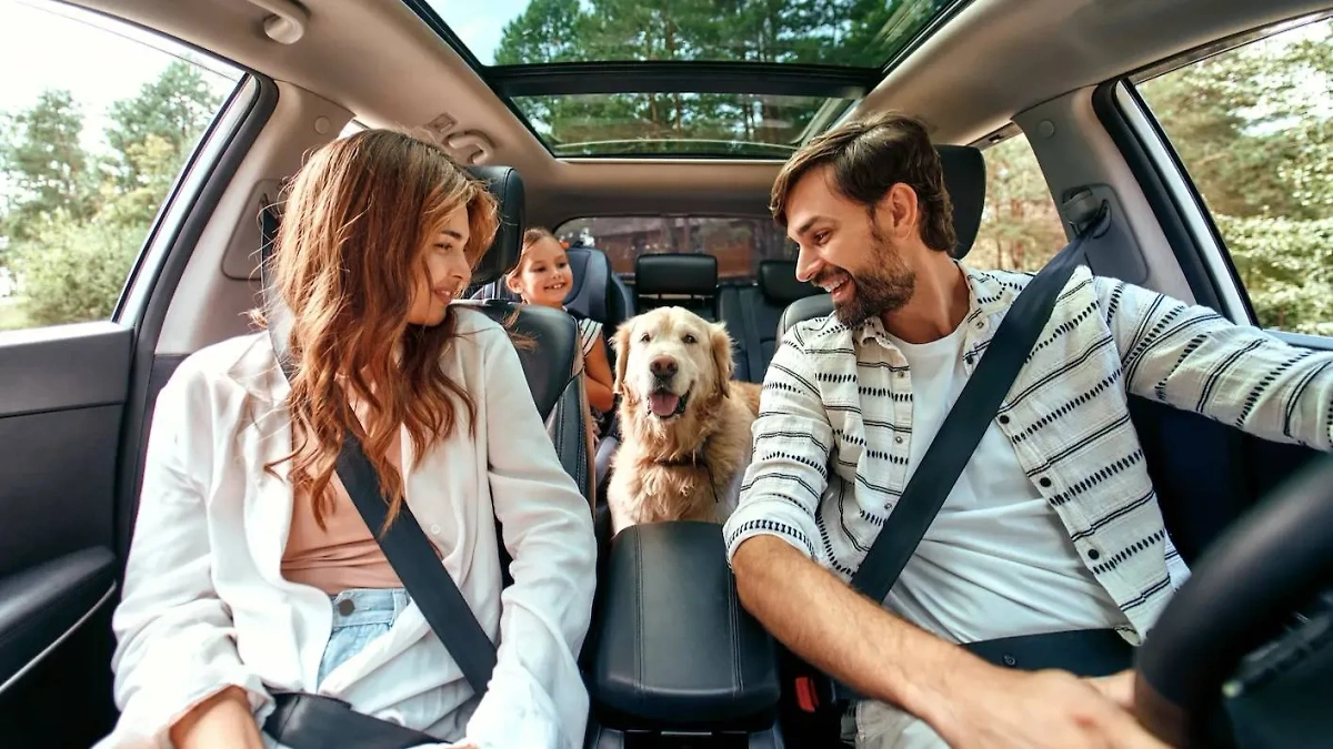 Обложка © Shutterstock / FOTODOM / ORION PRODUCTION