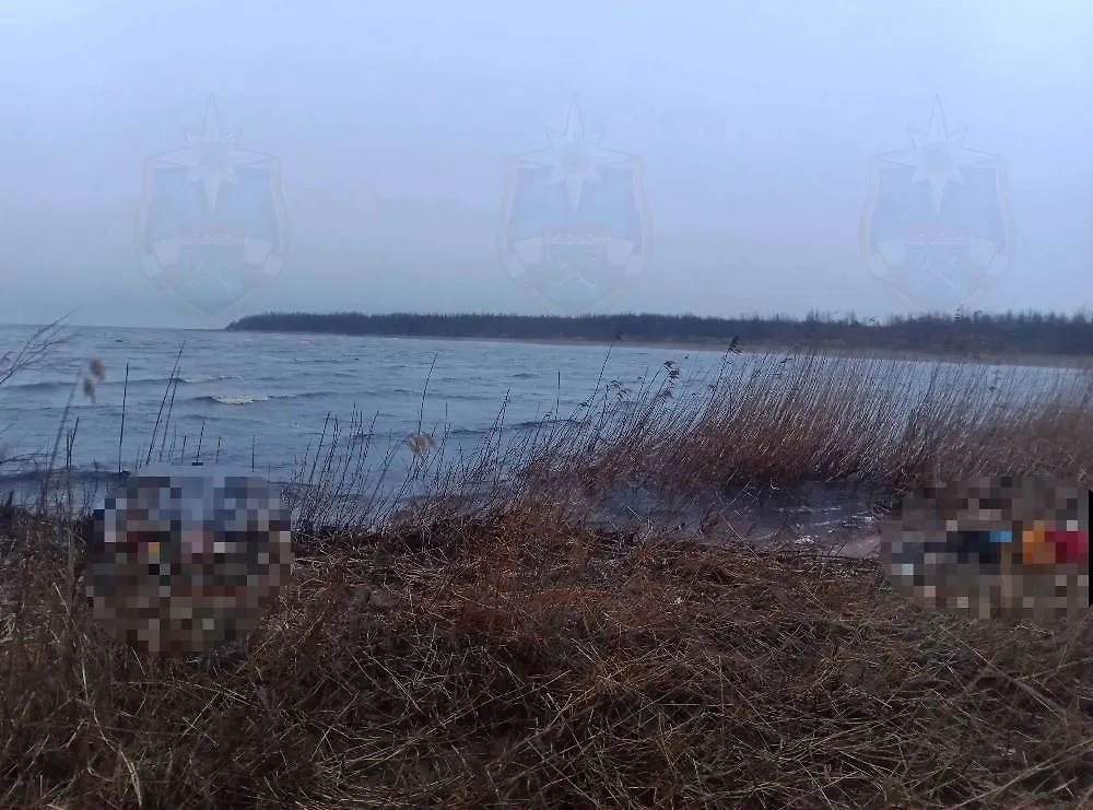 В Ленобласти утонули два человека. Фото © VK / Аварийно-спасательная служба ЛО
