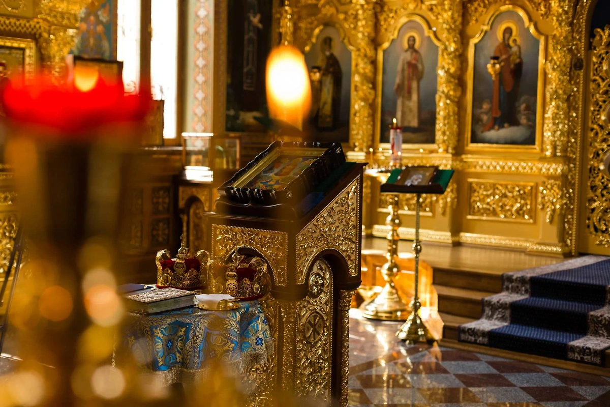 Обложка © Shutterstock / FOTODOM / Andrew Angelov