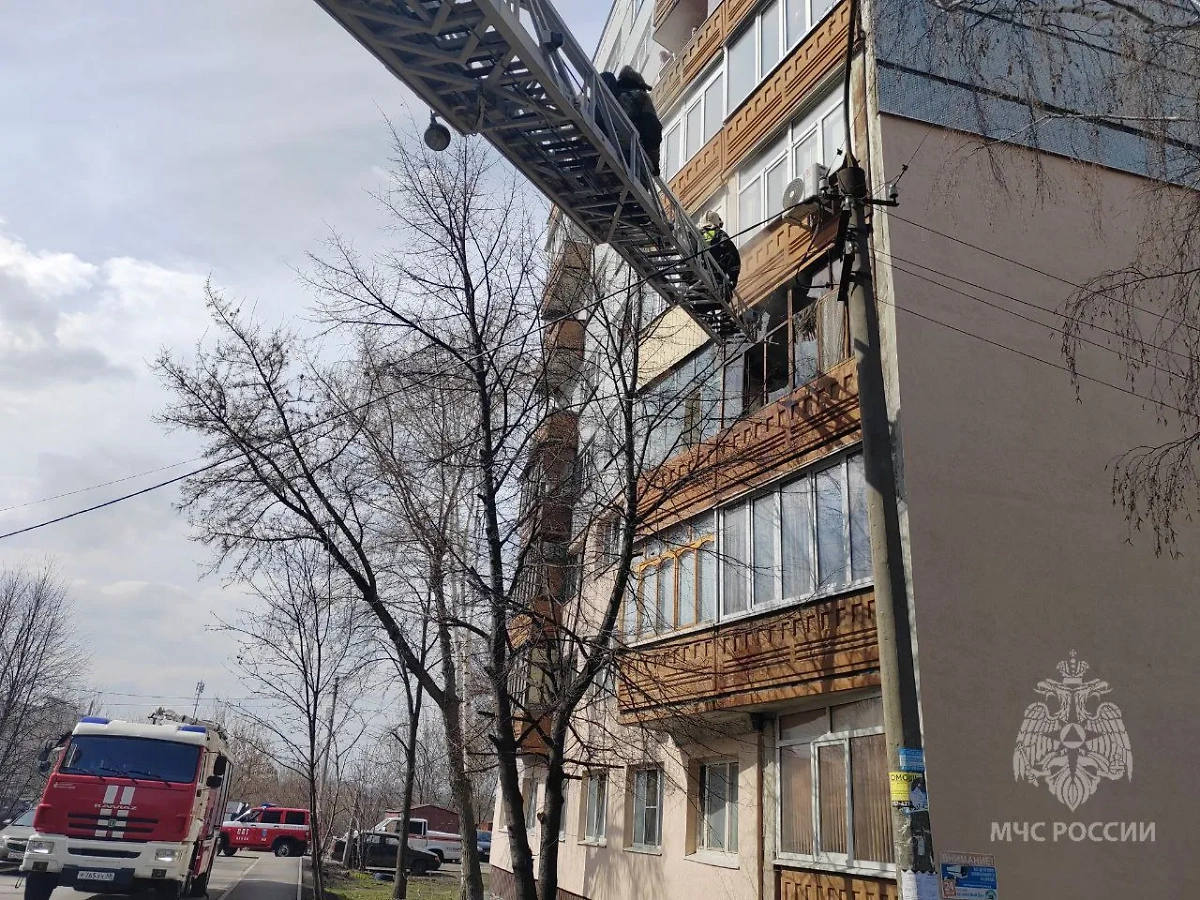 Работа сотрудников МЧС на месте пожара в Пензе. Обложка © Telegram / МЧС Пензенской области