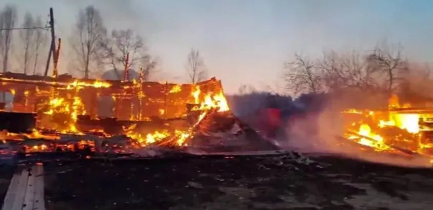 Пожары в селе Чехово Иркутской области. Обложка © Telegram / #кобзевнасвязи