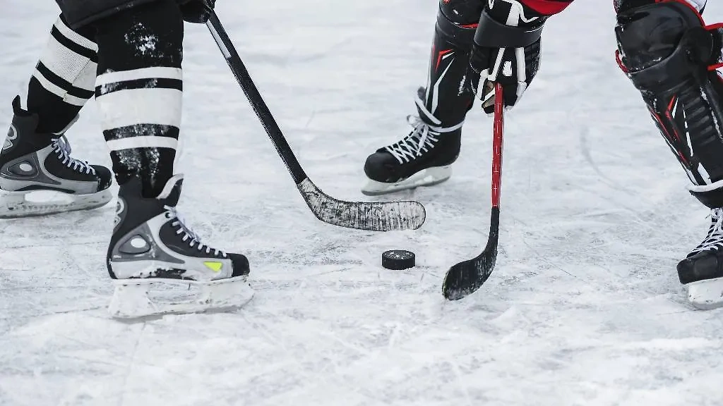 Обложка © Shutterstock / FOTODOM / Alexandr Grant