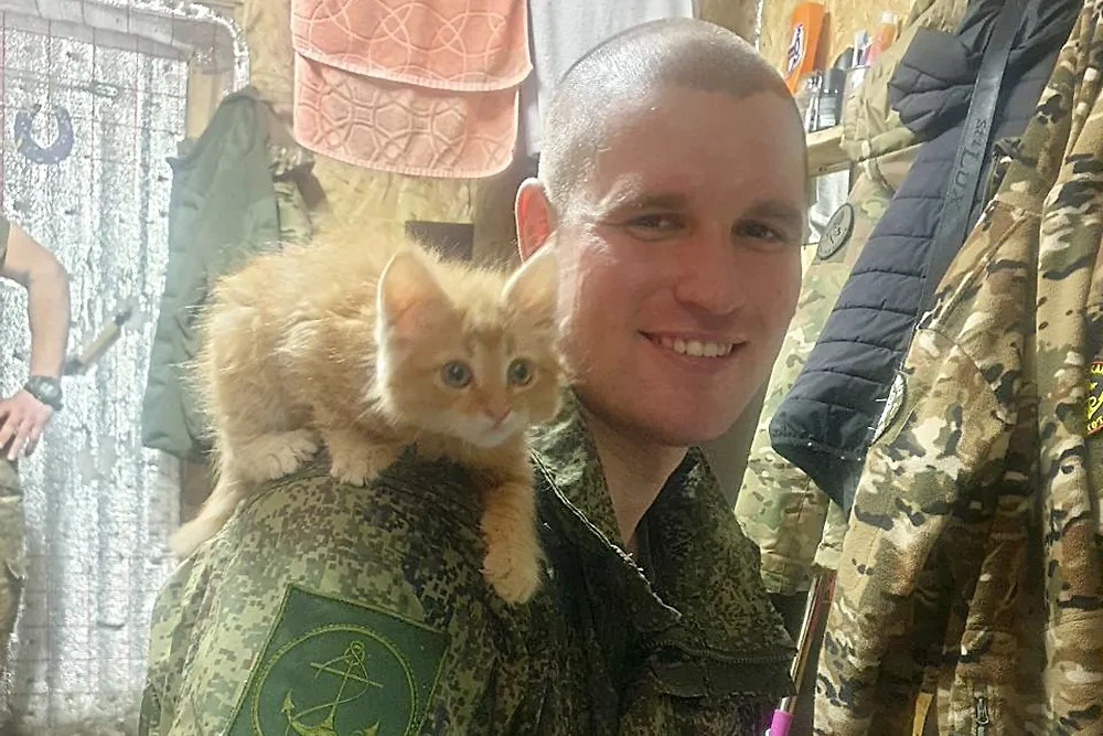 Боец Голливуд и котёнок Ржавый. Обложка © RG.ru / Андрей Полынский
