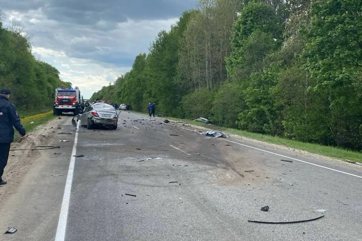 Последствия ДТП в Курской области. Фото © Telegram / Александр Хинштейн