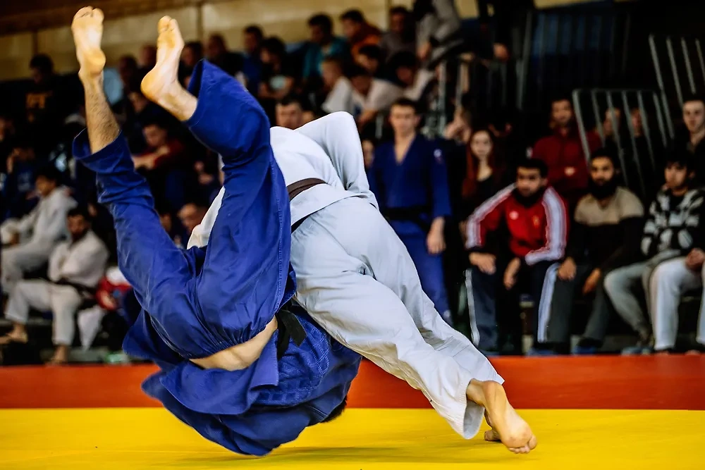 Дзюдо. Обложка © Shutterstock / FOTODOM / Real Sports Photos