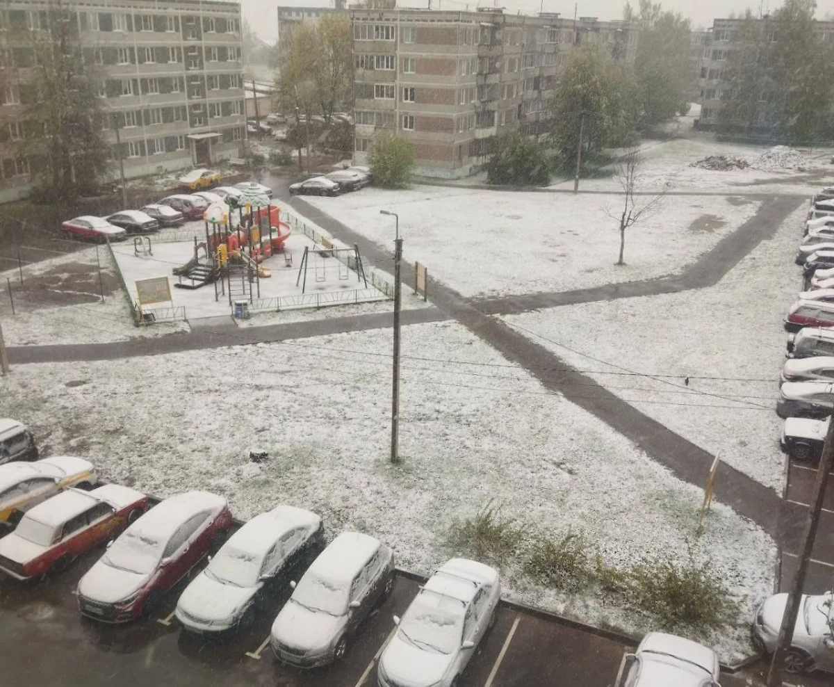Заснеженный двор Подмосковья. Фото © Telegram / Некрасовка Новости