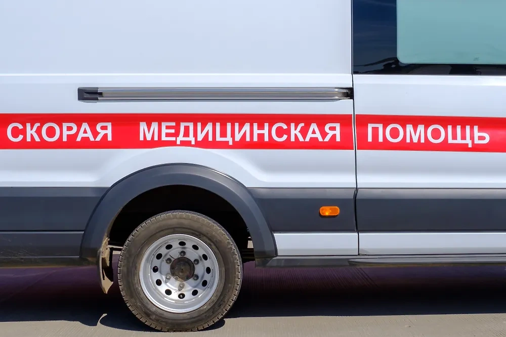 Обложка © Shutterstock / FOTODOM / SSV.Photo