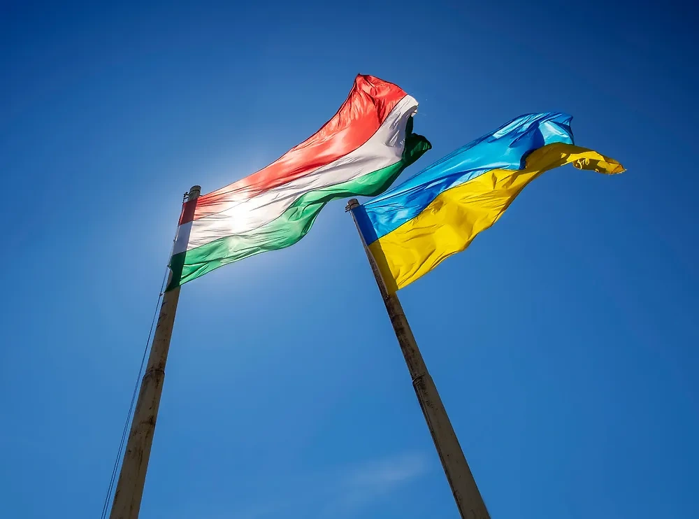 Обложка © Shutterstock /FOTODOM / Zsolt Biczo