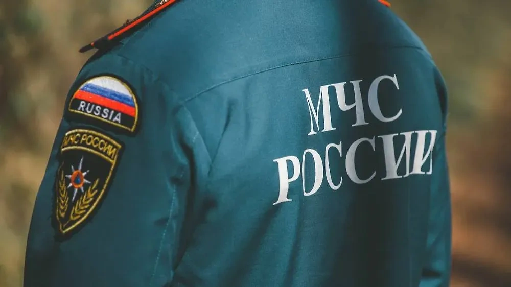 МЧС. Обложка © Shutterstock / FOTODOM / Dizzy_Studio