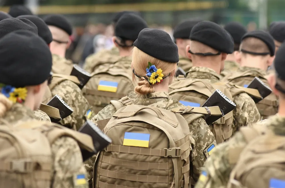 Военнослужащие. Обложка © Shutterstock / FOTODOM / Bumble Dee