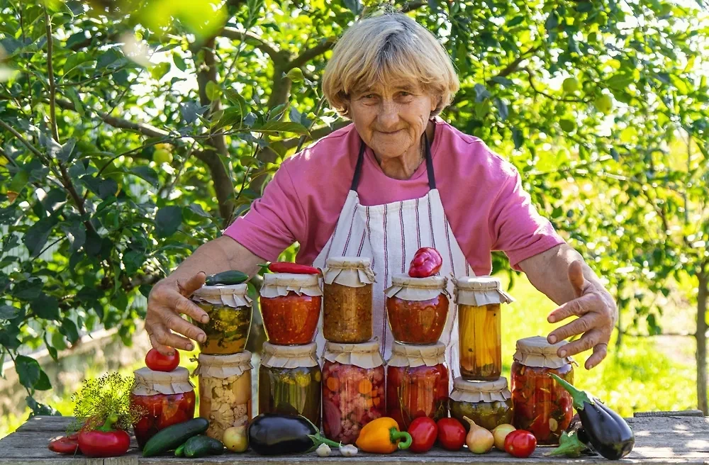 Обложка © Shutterstock / FOTODOM / Tatevosian Yana