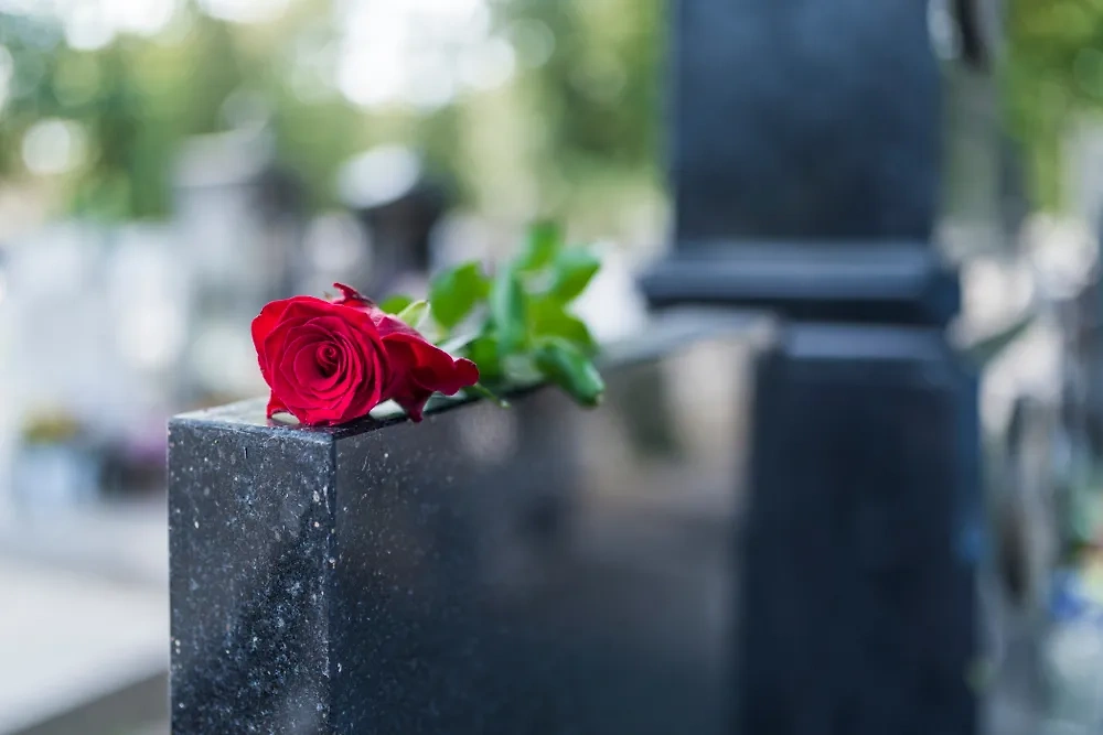 Надгробие. Обложка © Shutterstock / FOTODOM / Dragana Gordic