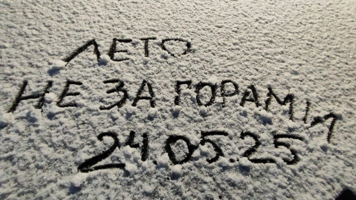 Обложка © Telegram / Екатеринбург с огоньком