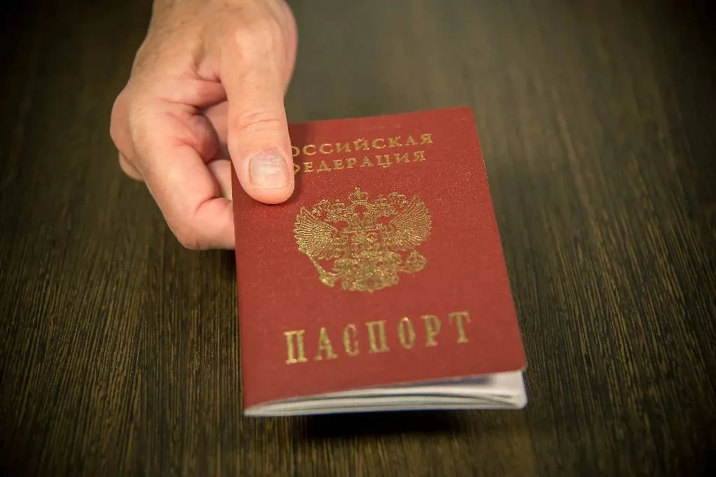 Обложка © Shutterstock / FOTODOM / Ilya_Kuznetsov