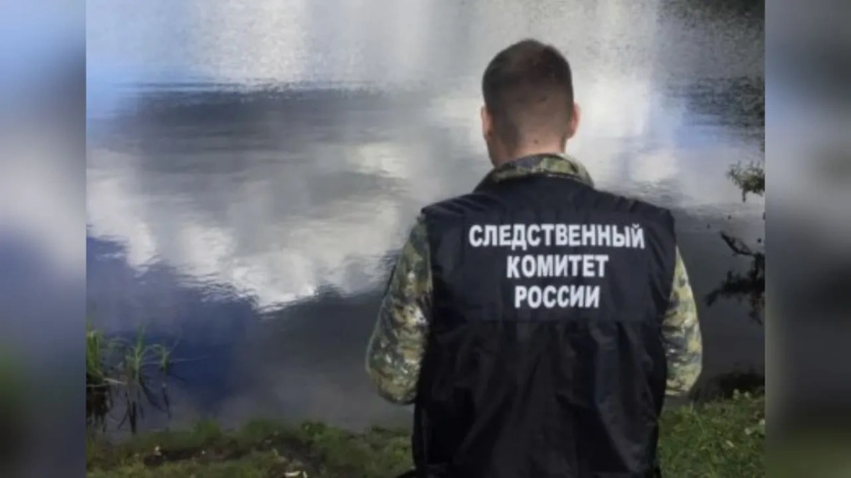 Обложка © Telegram / СУ СК по Омской области