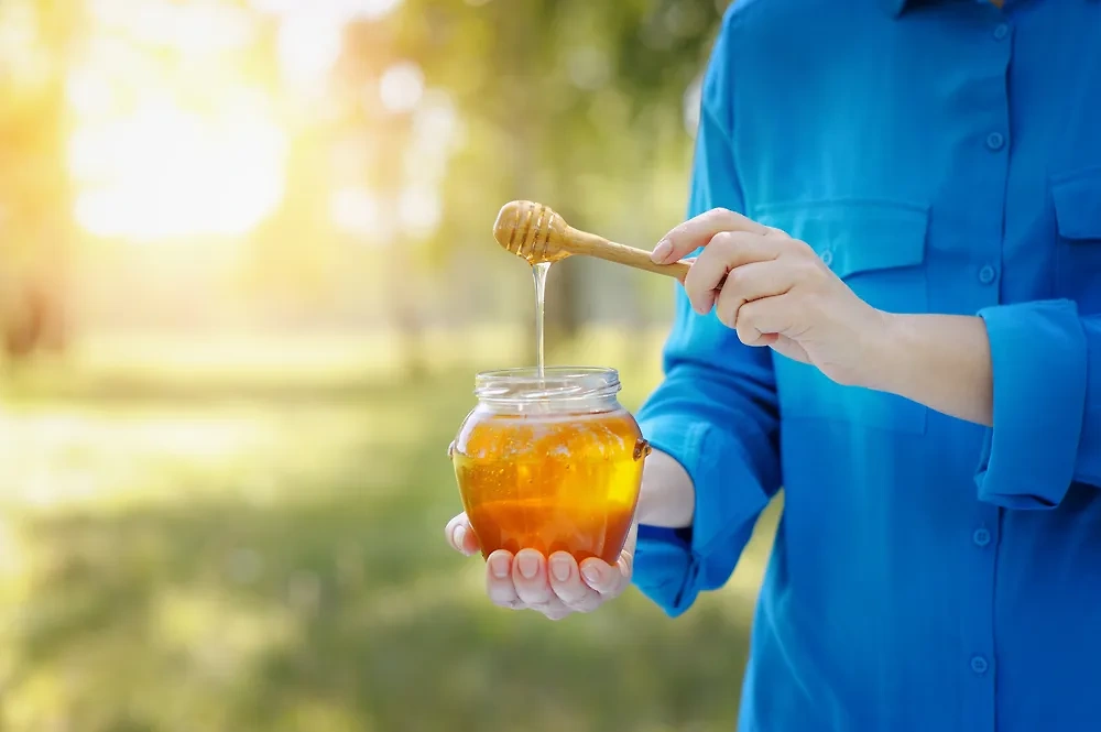 Мёд. Обложка © Shutterstock / FOTODOM / PAstudio