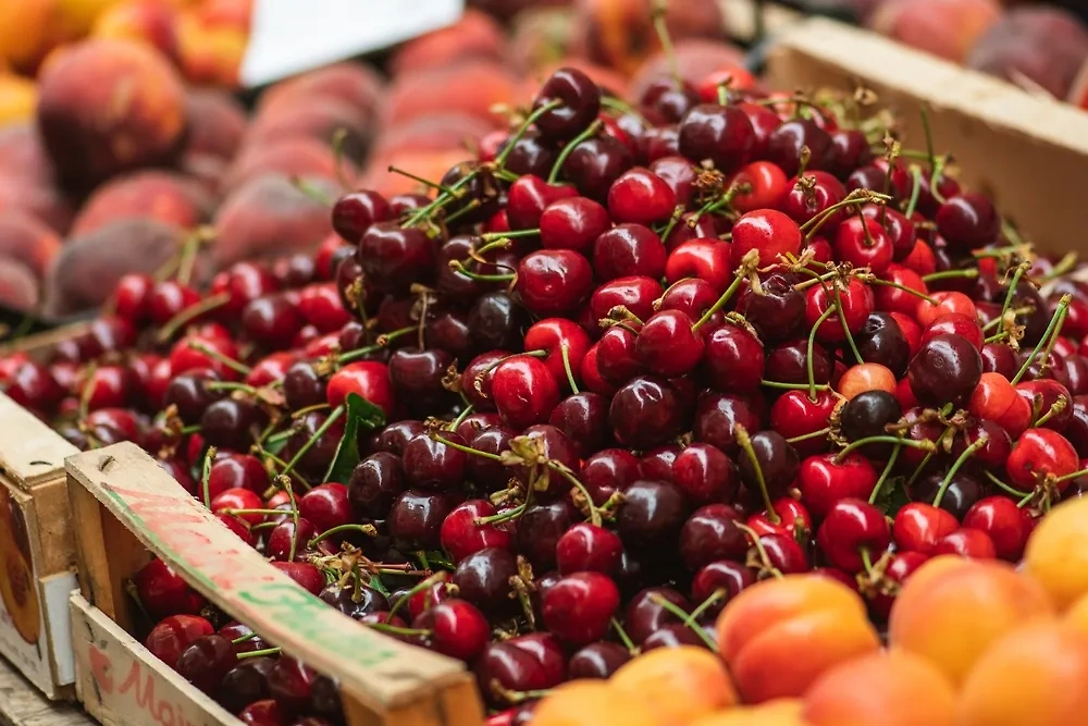 Черешня. Обложка © Shutterstock / FOTODOM / Michele Ursi