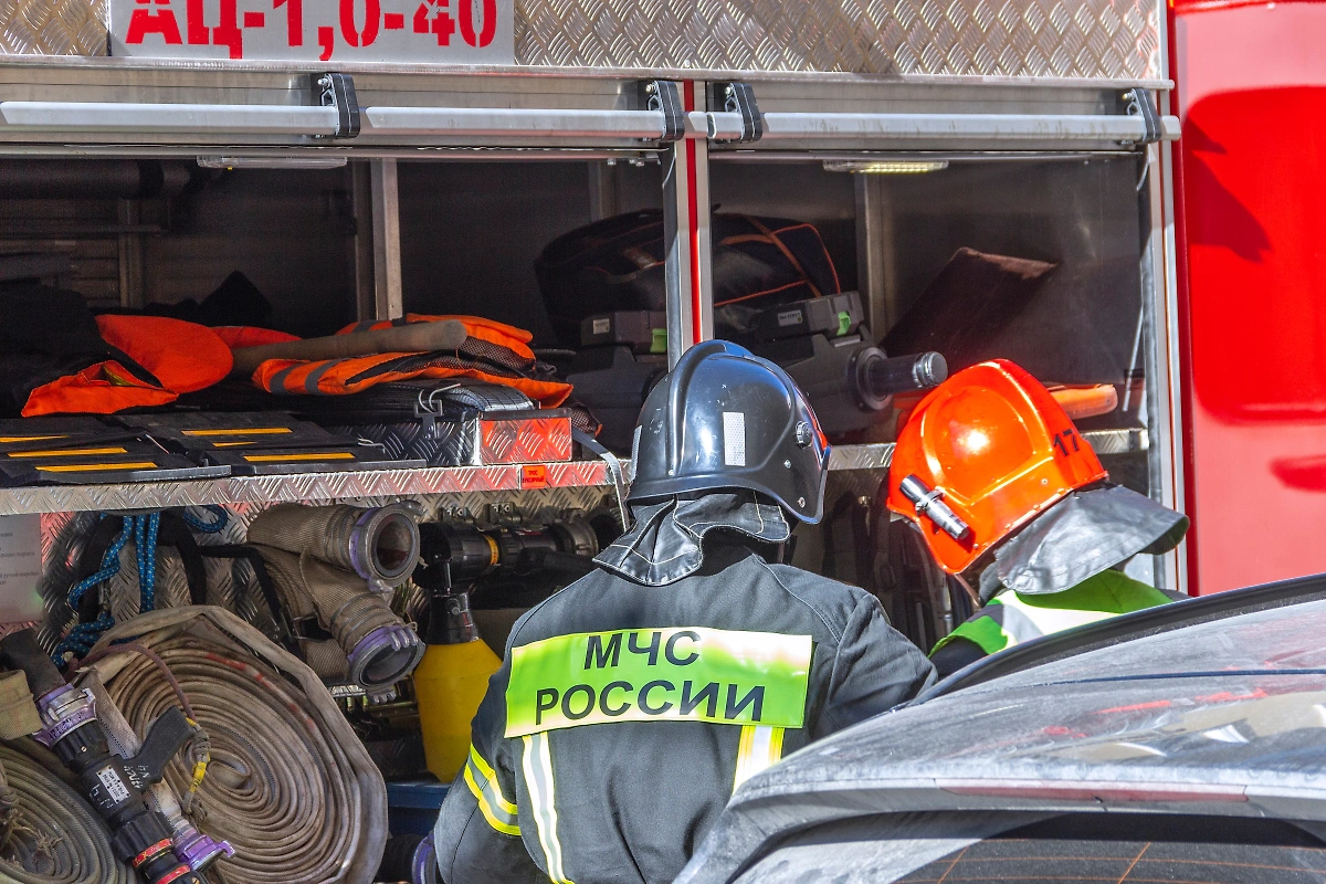 Обложка © Shutterstock / FOTODOM Urri