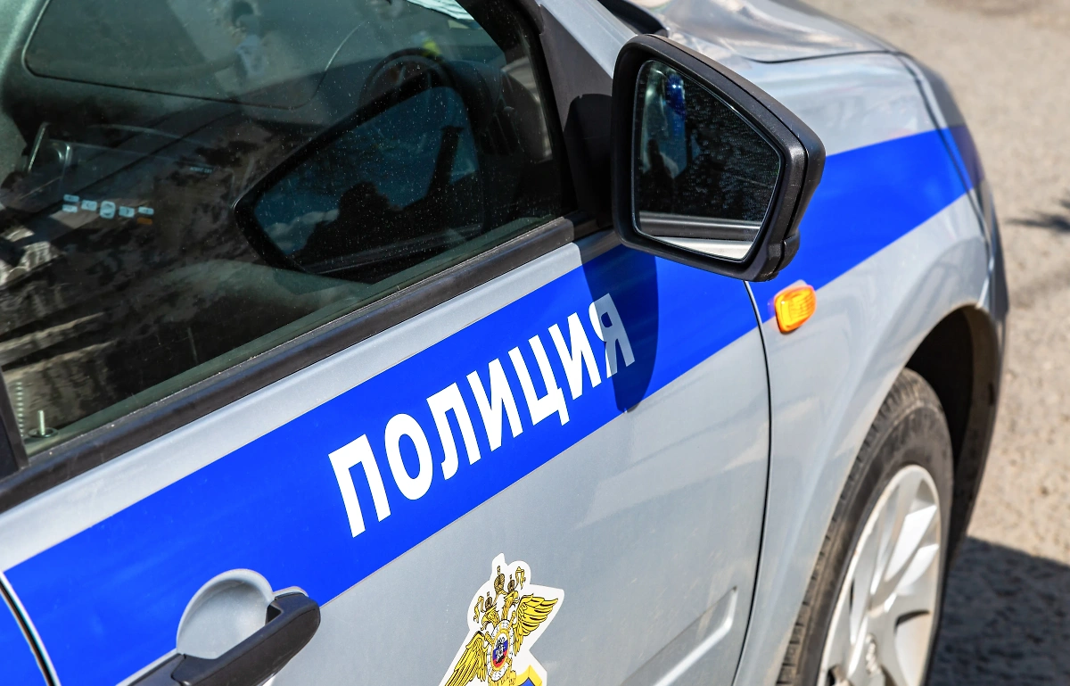 Обложка © Shutterstock / FOTODOM / FotograFFF
