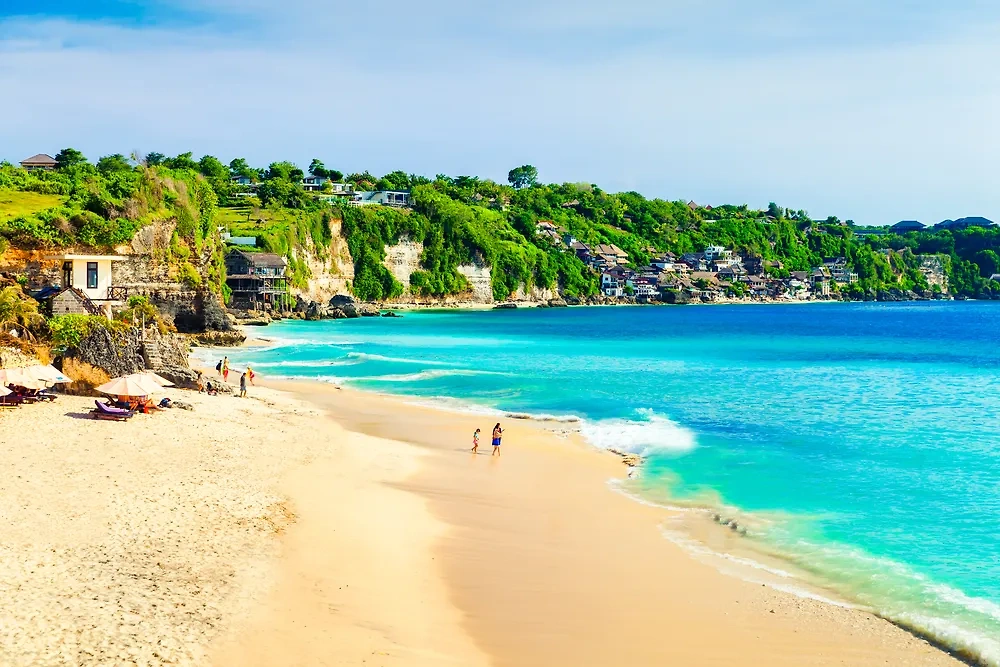 Обложка © Shutterstock / FOTODOM / Cocos.Bounty