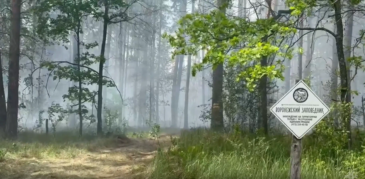 Обложка © VK / ГУ МЧС России по Липецкой области