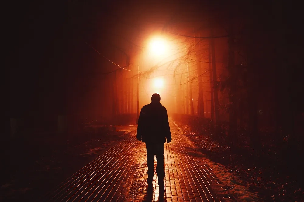 Обложка © Shutterstock / FOTODOM / Vladimir Mulder