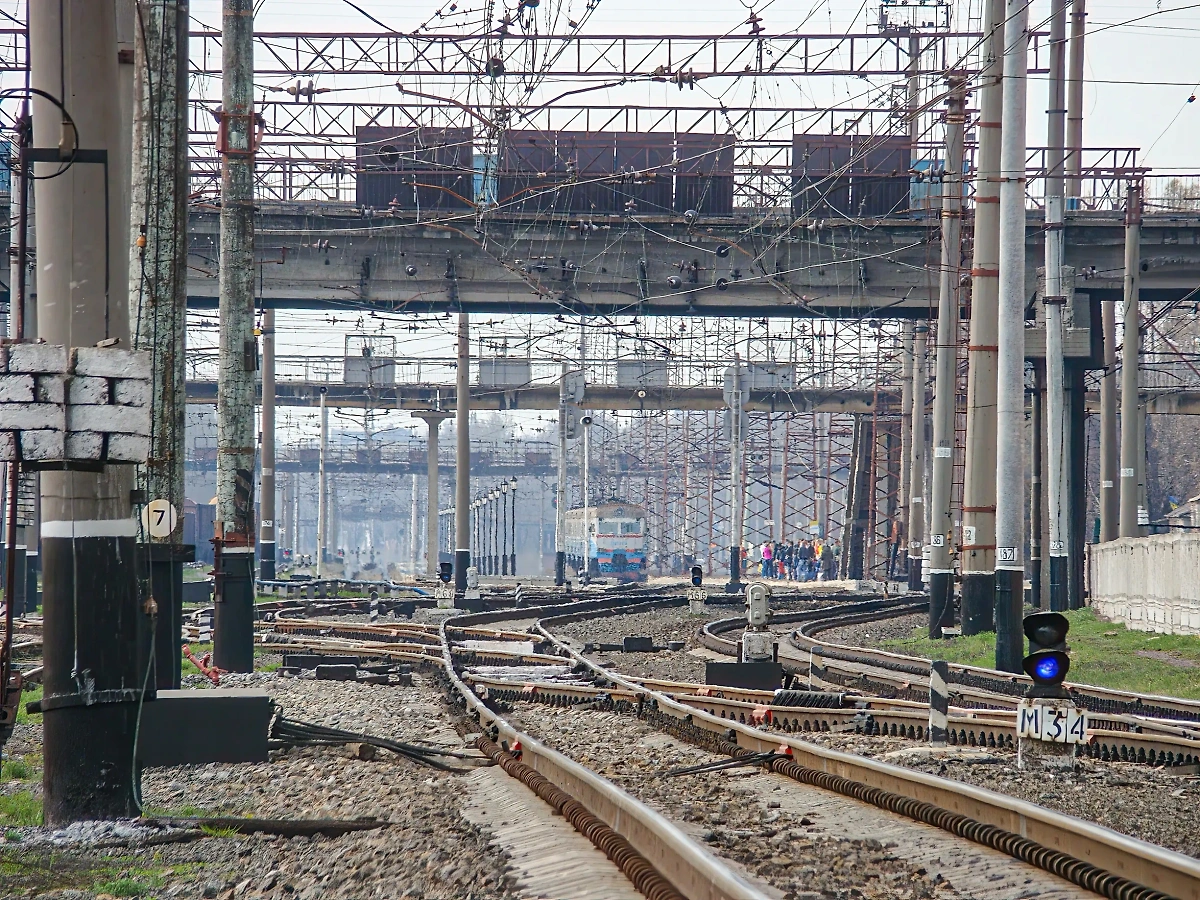Обложка © Shutterstock /FOTODOM / mr_tigga 