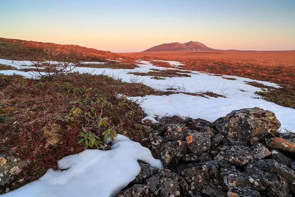Обложка © Shutterstock / FOTODOM / Andrei Stepanov