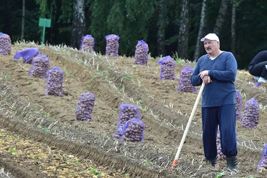 Александр Лукашенко. Обложка © Сайт президента Белоруссии
