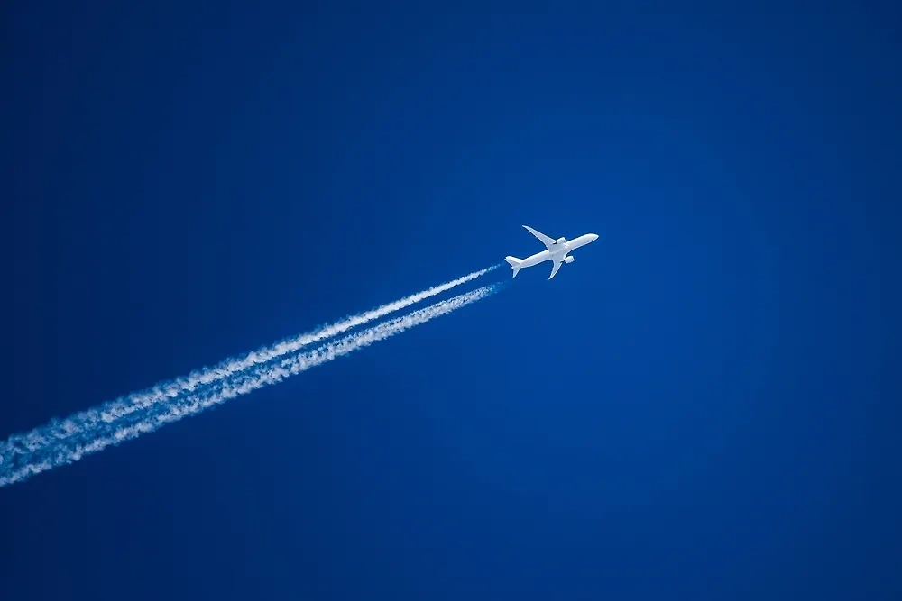 Обложка © Shutterstock / FOTODOM / Russ Heinl