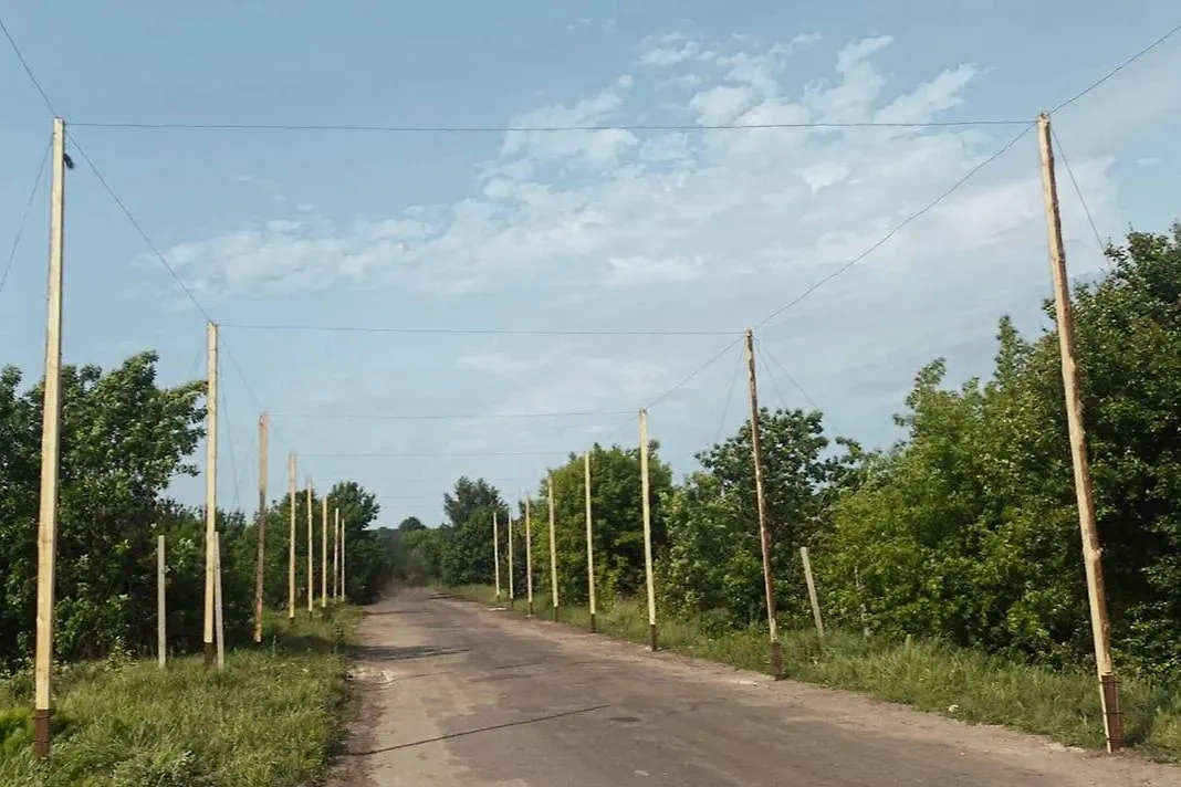 Антидроновые сети в Сумской области. Обложка © Telegram / Олег Григоров