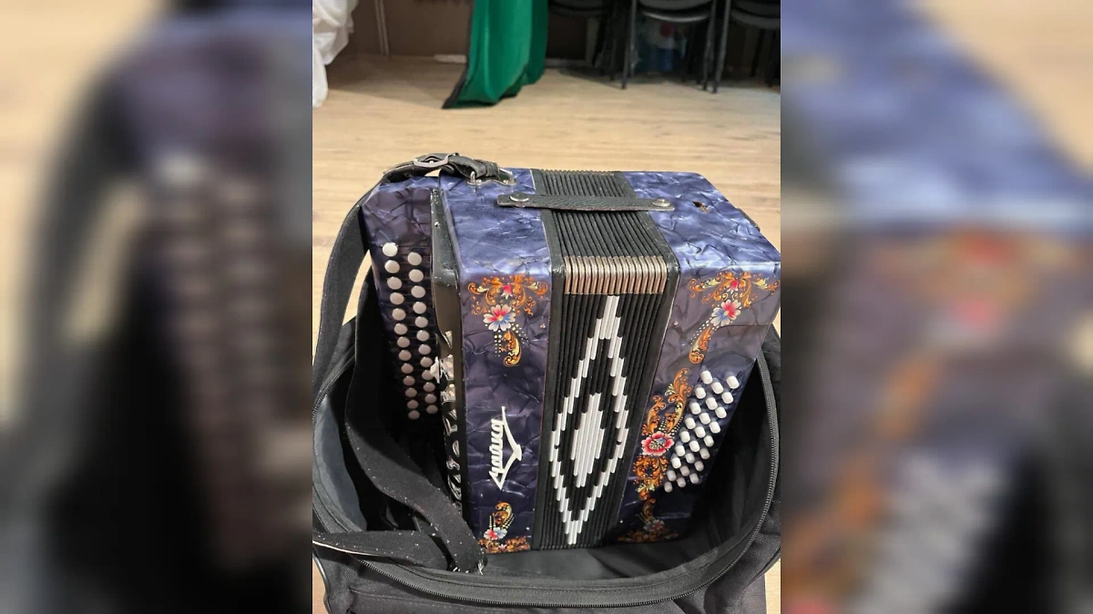 Гармошка «Чайка». Обложка © Telegram / Крыша ТурДома