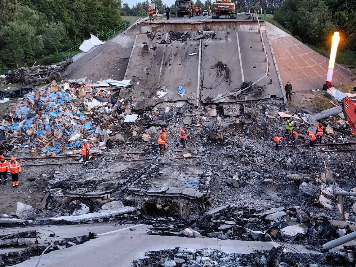 Выгоничский район. Фото © Telegram / AV БогомаZ
