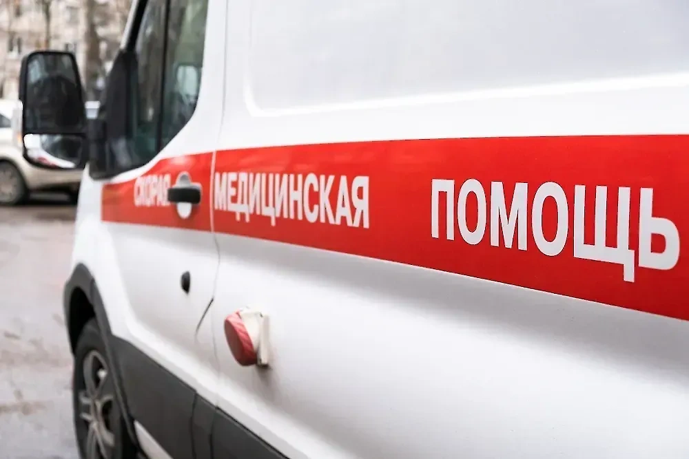 Обложка © Shutterstock / FOTODOM / Andrey Mihaylov