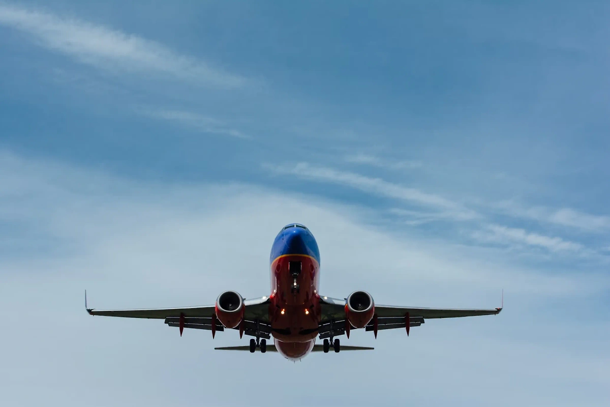 Обложка © Unsplash / Gary Lopater