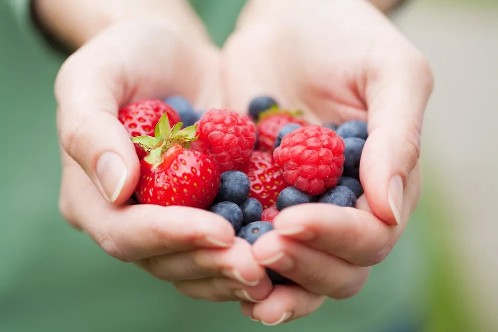 Обложка © Shutterstock / FOTODOM / Olga Miltsova