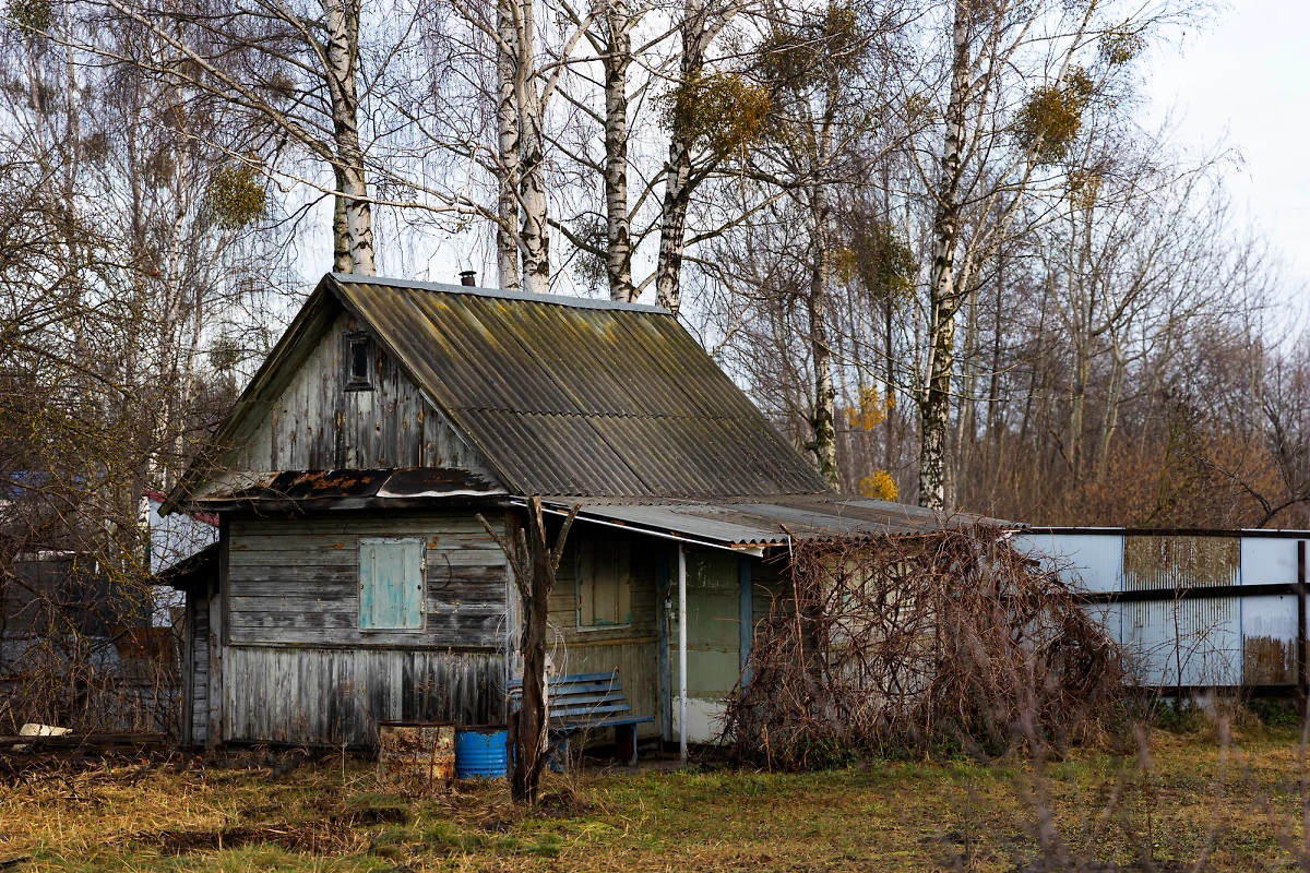Обложка © Freepik