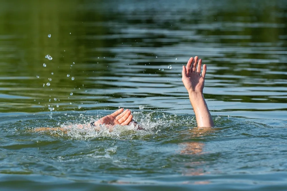 Обложка © Shutterstock / FOTODOM / Afanasiev Andrii