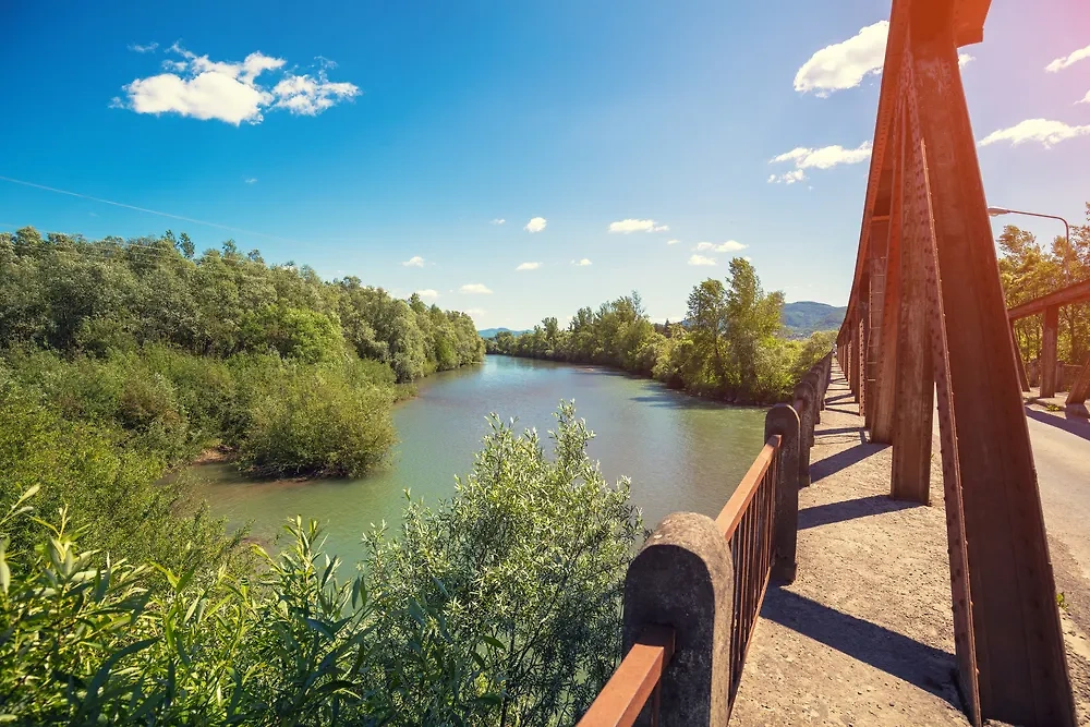 Обложка © Shutterstock / FOTODOM / vvvita